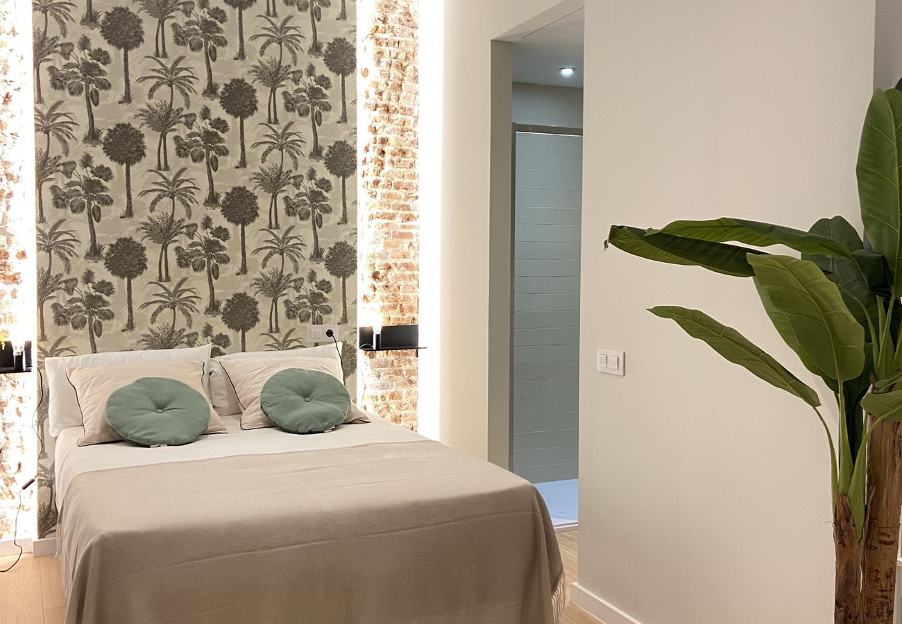 Collection La Latina - Apartamento con balcón ubicado en La Latina